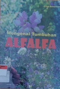 Mengenal Tumbuhan Alfalfa