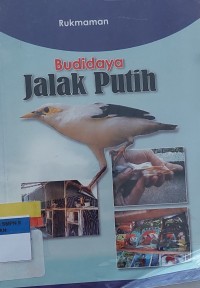Budi Daya Jalak Putih