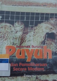 Beternak Burung Puyuh dan Pemeliharaan Secara Modern