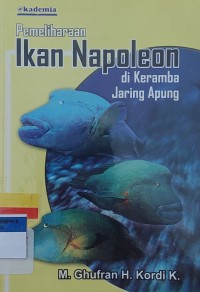 Pemeliharaan Ikan Napoleon di Keramba Jaring Apung
